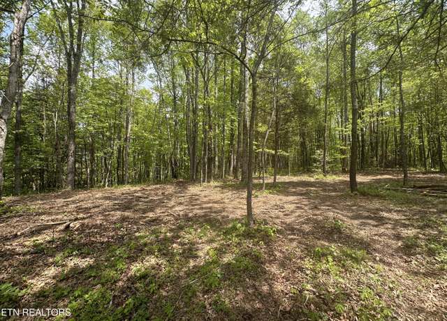 Property at 50 acres Oloff Smith Rd, Allardt, TN 38504