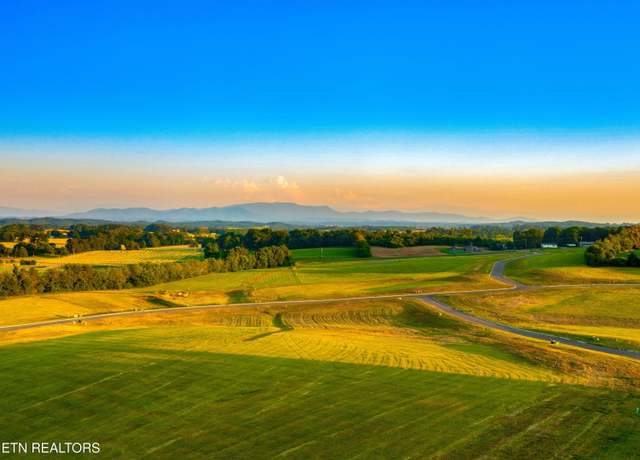 Property at Lot 72 Vista Ridge Dr, White Pine, TN 37890