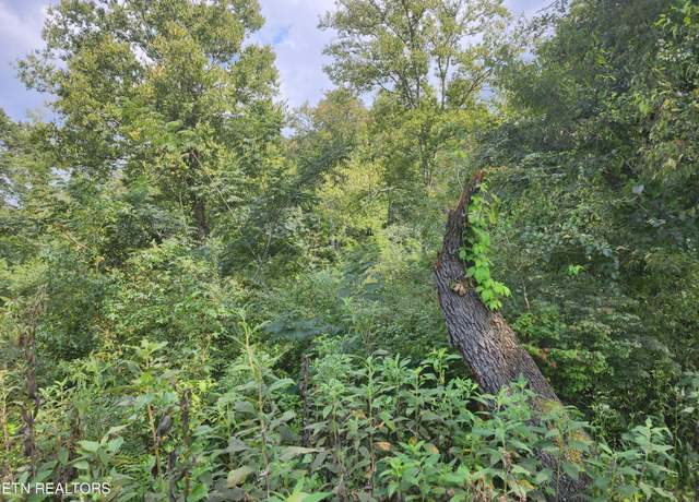 Property at 25.2 acres Spring City Hwy, Rockwood, TN 37854