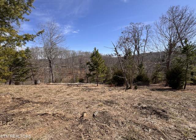 Property at 4 Button Buck Ln, Lafollette, TN 37766