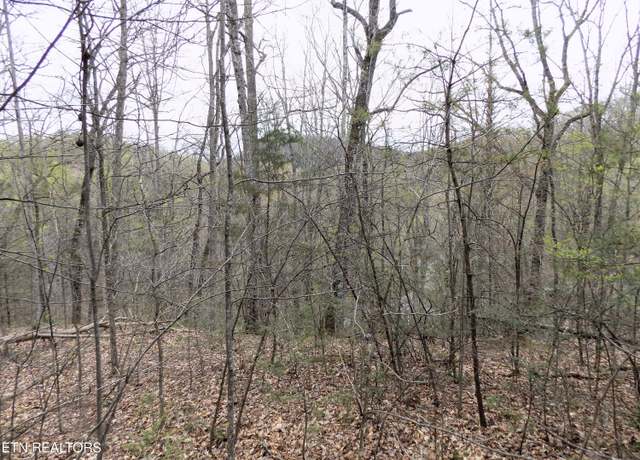 Property at Par 001.08 Mountain Shadow Way, Cosby, TN 37722