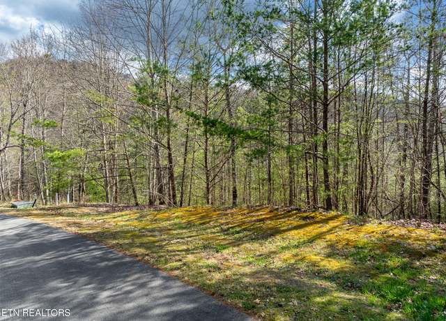 Property at 227 Black Powder Ct, Walland, TN 37886
