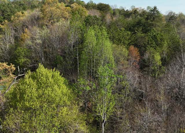 Property at 0000 County Road 675, Athens, TN 37303