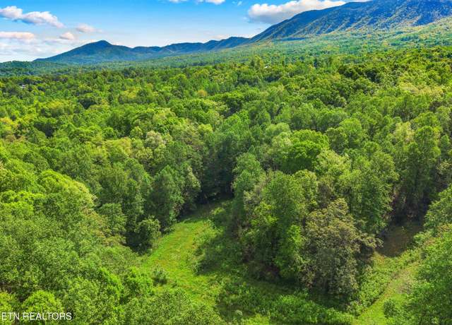 Property at County Line Rd, Dandridge, TN 37725