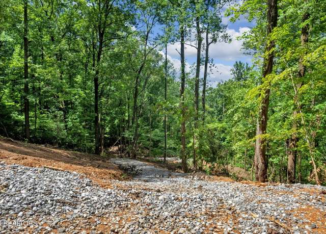 Property at 1998 Chestnut Ridge Rd Dr, Lenoir City, TN 37771