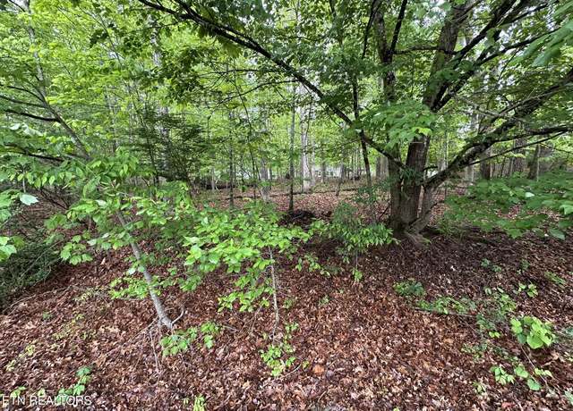 Property at 114 & 116 Shore Ln, Fairfield Glade, TN 38558