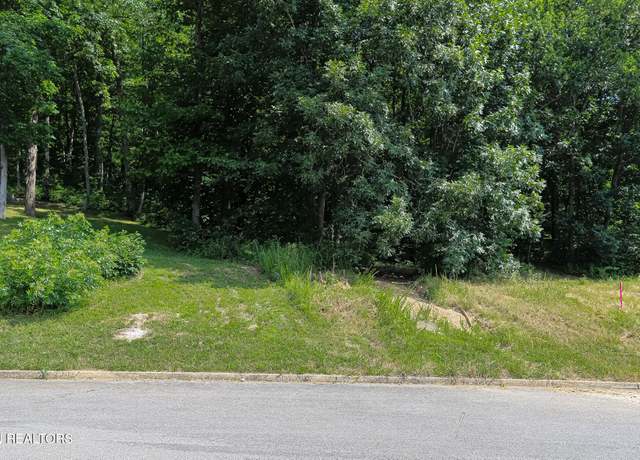 Property at Lot 41-R1 Bobbie Jean Ln, Seymour, TN 37865
