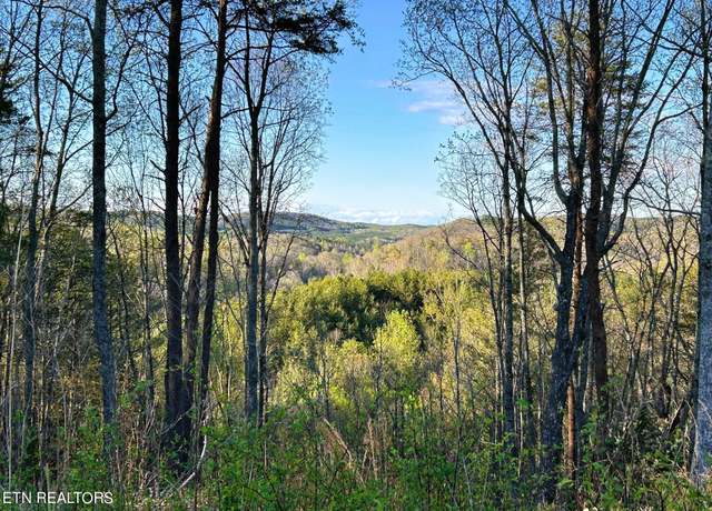 Property at Tract 2 SW Owl Hollow Rd, Mcdonald, TN 37353