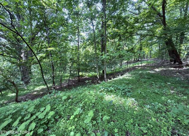 Property at 5.74 acres Bailey Cemetary Rd, Tazewell, TN 37879