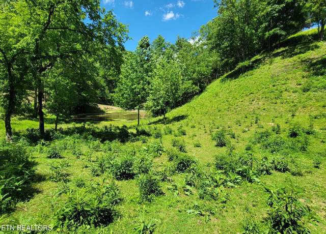 Property at Tract 7 Sandy Valley Rd, Rogersville, TN 37857