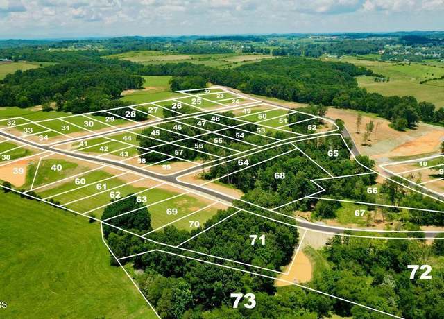 Property at LOT68 919 Sophie Dr, Greenback, TN 37742