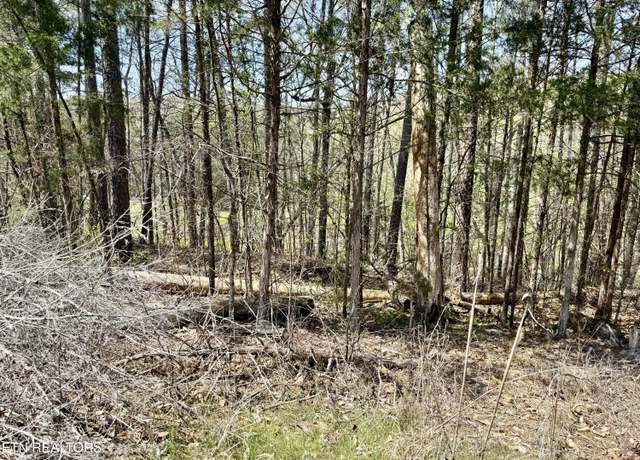 Property at Lake Lane Ln, New Tazewell, TN 37825