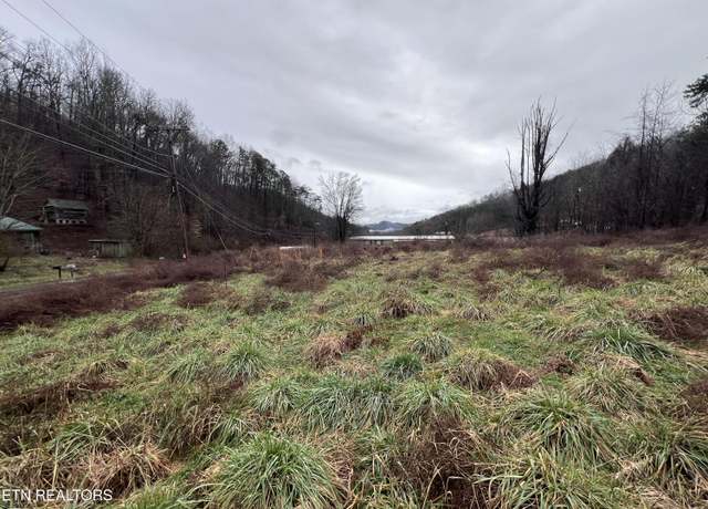 Property at 117 Tanyard Loop, Calvin, KY 40813
