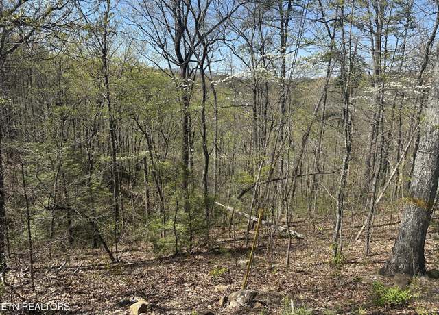 Property at 1532 Mountain Dreams Way, Pigeon Forge, TN 37862