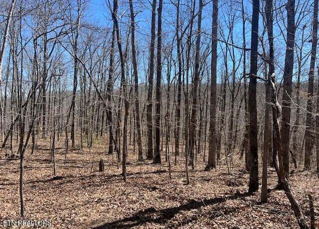 Property at Lot 40 Pioneer Trail Ln, Crawford, TN 38554