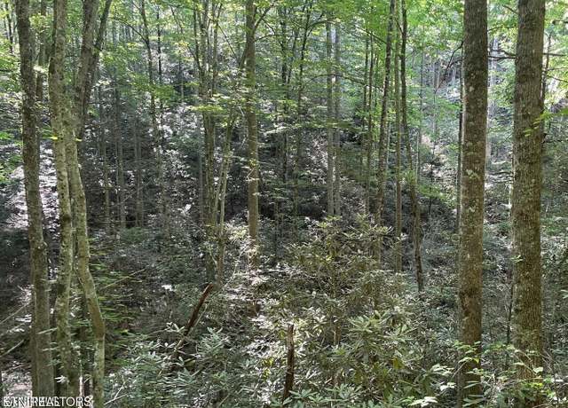 Property at Lot 70 Hazelnut Ln, Sevierville, TN 37876