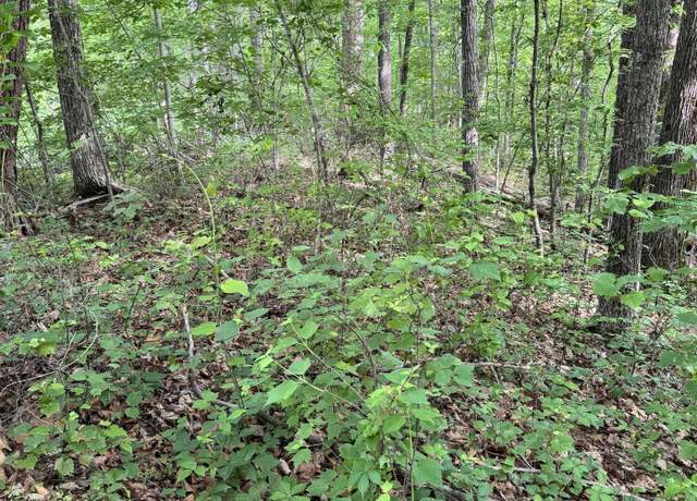Property at Prettiest Sunset Lot #5 Way, Seymour, TN 37865