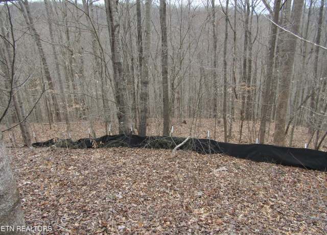 Property at Lot 60 W Bobcat Ln, Wilder, TN 38589