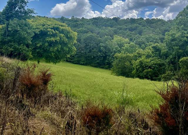 Property at Tbd Clinch River Rd, Tazewell, TN 37879