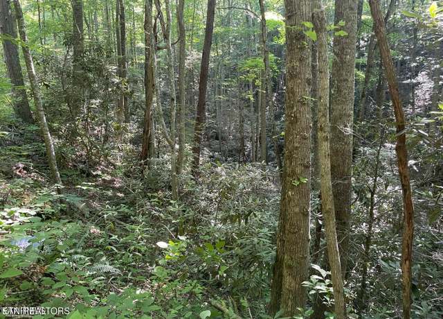 Property at Lot 76 Sycamore St, Sevierville, TN 37876