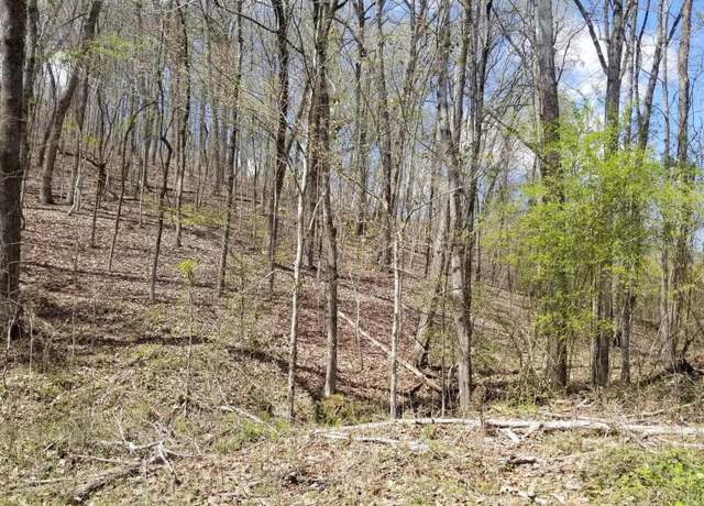Property at Lot 286 Maple Dr, Spring City, TN 37381