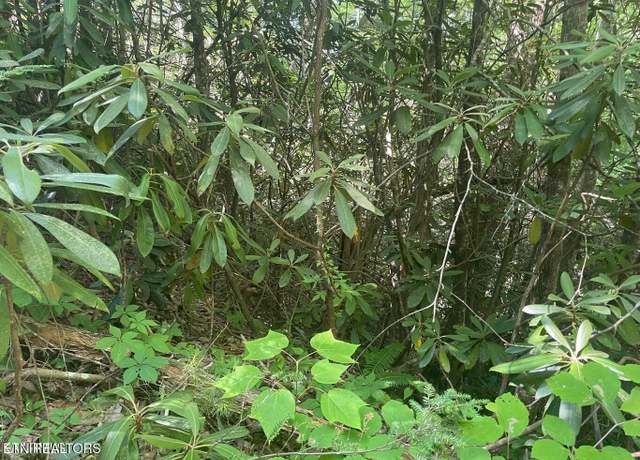 Property at Lot 89 Sycamore St, Sevierville, TN 37876