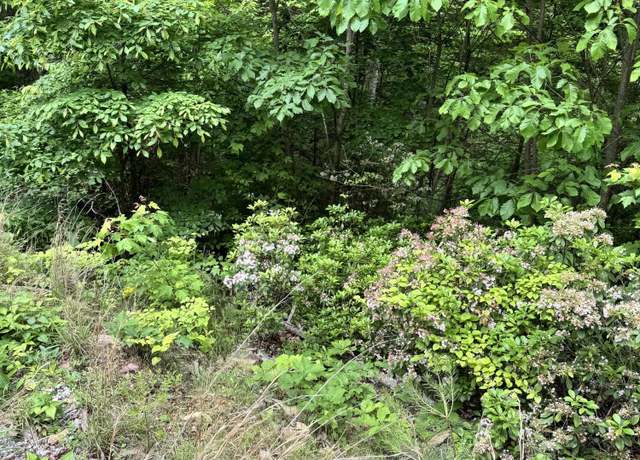 Property at Goose Creek Lot #2 Rd, Seymour, TN 37865