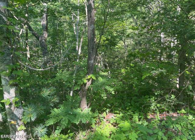 Property at Lot 69 Sycamore St, Sevierville, TN 37876