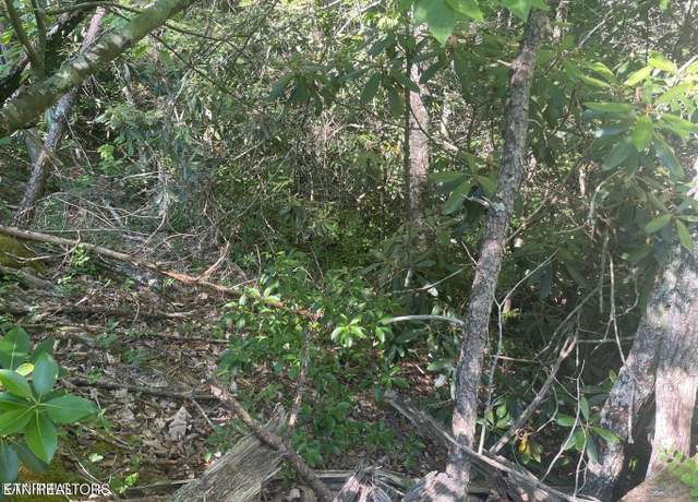 Property at Lot 68 Sycamore St, Sevierville, TN 37876