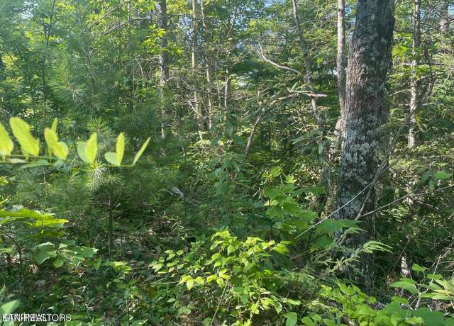 Property at Lot 1 Sycamore St, Sevierville, TN 37876