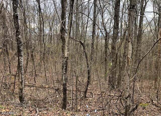 Property at Spruce Dr, Spring City, TN 37381