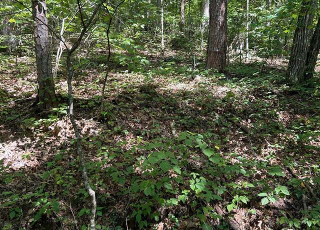 Property at Laurel Mountain Cir, Madisonville, TN 37354