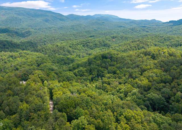 Property at 1618 Walnut Flats Rd, Walland, TN 37886