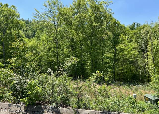 Property at Lot 32 Timber Creek Rd, Maynardville, TN 37807