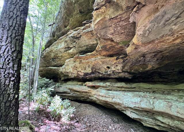 Property at Bear Hollow Rd, Oneida, TN 37841