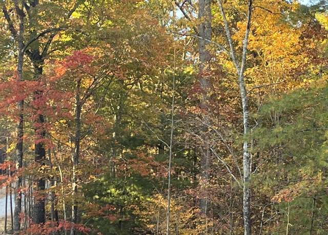 Property at 110 Cherokee Path, Tellico Plains, TN 37385