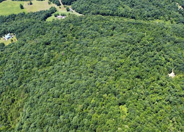 Property at 0 S Buffalo Rd, Oneida, TN 37841