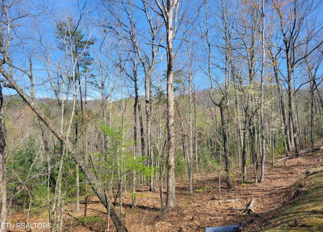 Property at Lot 10 Black Oak Dr, Sevierville, TN 37876