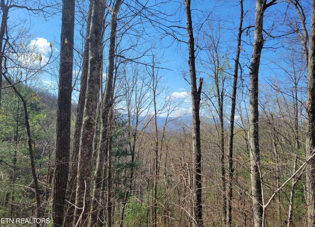 Property at Lot 4 Alpine Dr, Sevierville, TN 37876