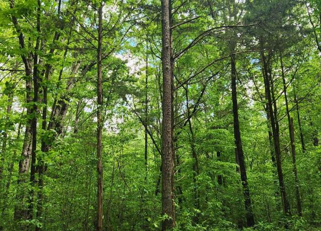 Property at CO RO 121, Lot 2, 7.02 AC, Athens, TN 37303