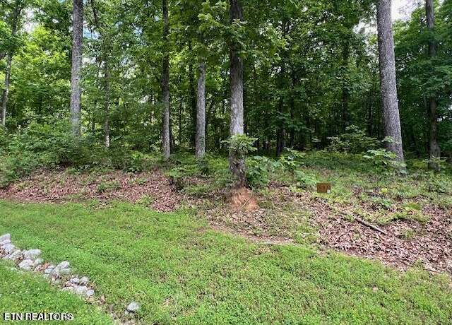 Property at 506 Grande Vista Dr, Rockwood, TN 37854