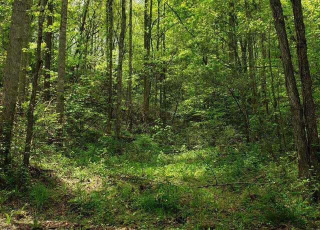 Property at King Rd, Gatlinburg, TN 37738