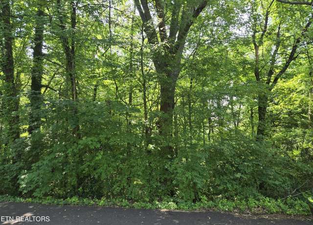 Property at 0 NE Snowood Dr, Knoxville, TN 37918