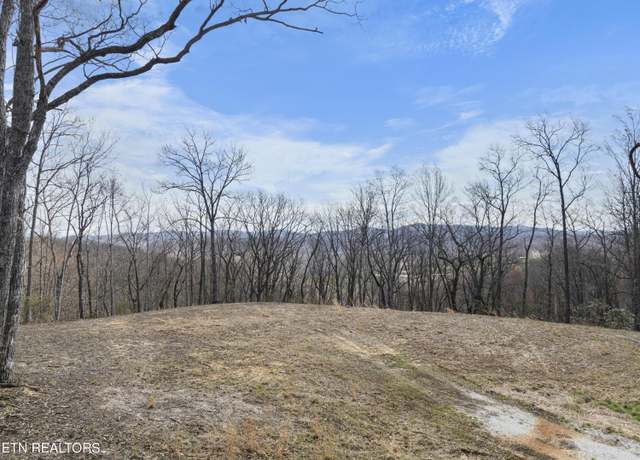 Property at Hunter Hills Dr, Oneida, TN 37841