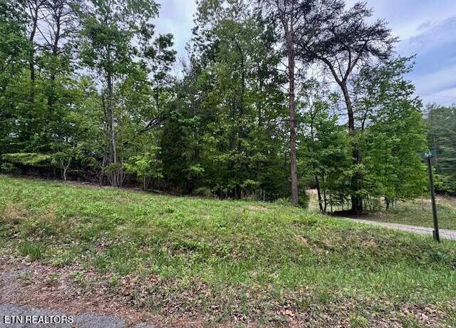 Property at 0 Maple Dr, Spring City, TN 37381