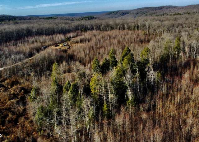 Property at Bear Creek 030 008.00 (lot 9) Rd, Oneida, TN 37841