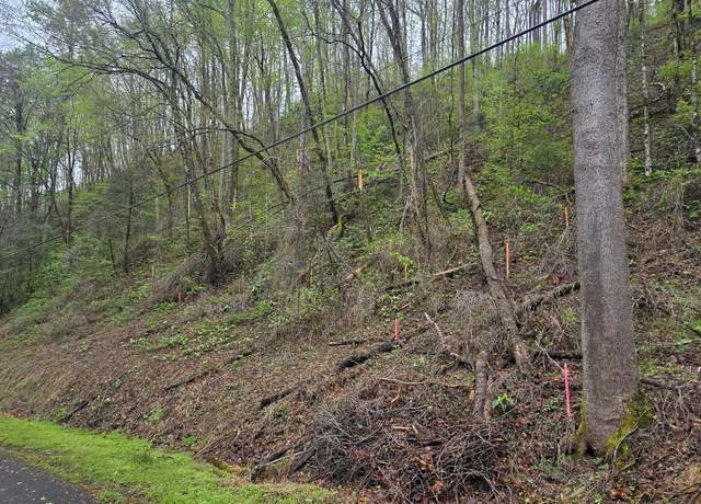 Property at 0 Black Walnut Flats Rd, Sevierville, TN 37862