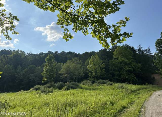 Property at Doc Hollow Off Lowes Branch Rd, Lafollette, TN 37766
