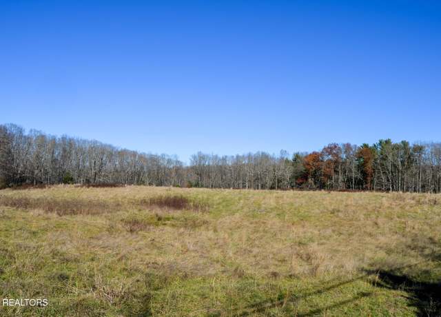 Property at Sparta Hwy 31.65 +/- Acres, Crossville, TN 38555