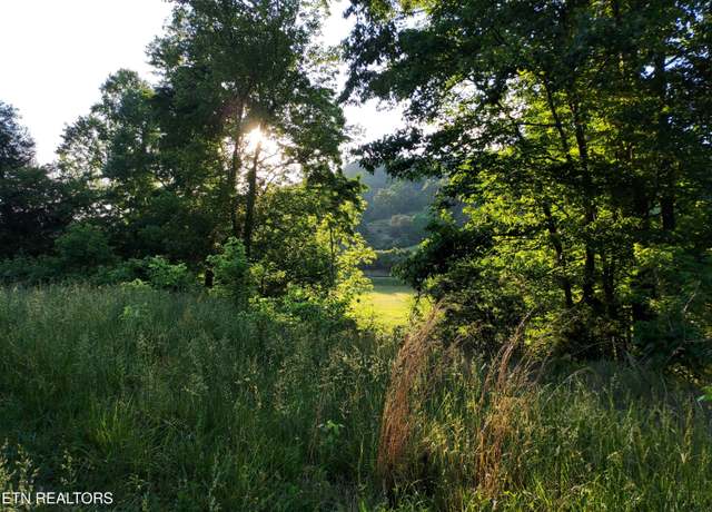 Property at TBD Main ST Lot 6, Sneedville, TN 37869